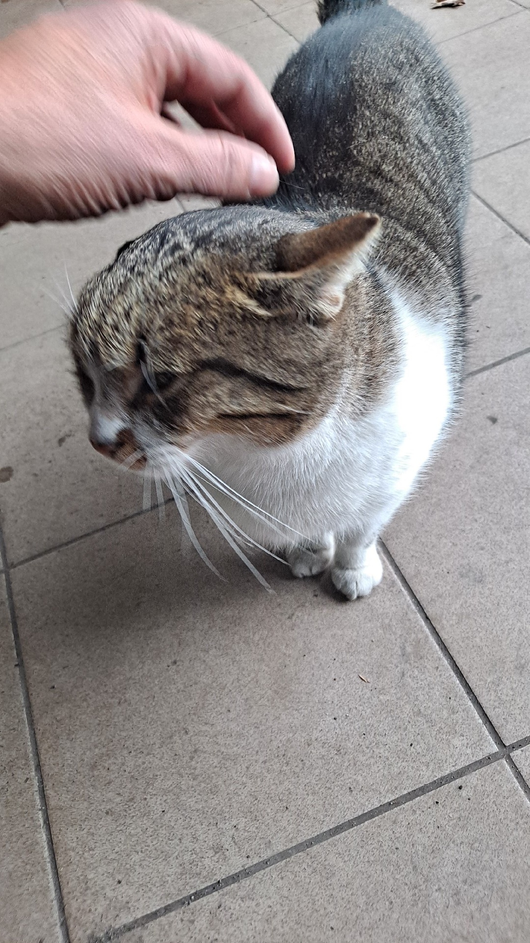 98149047-14e6-4efa-8f47-767971ef9afc