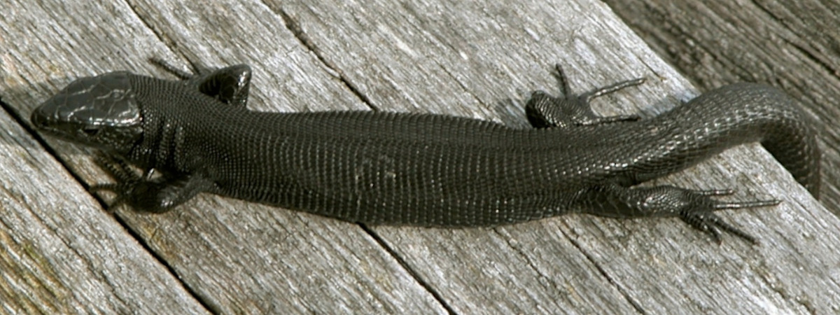 b497c595-9f15-4a7f-b98a-01ac72c41262