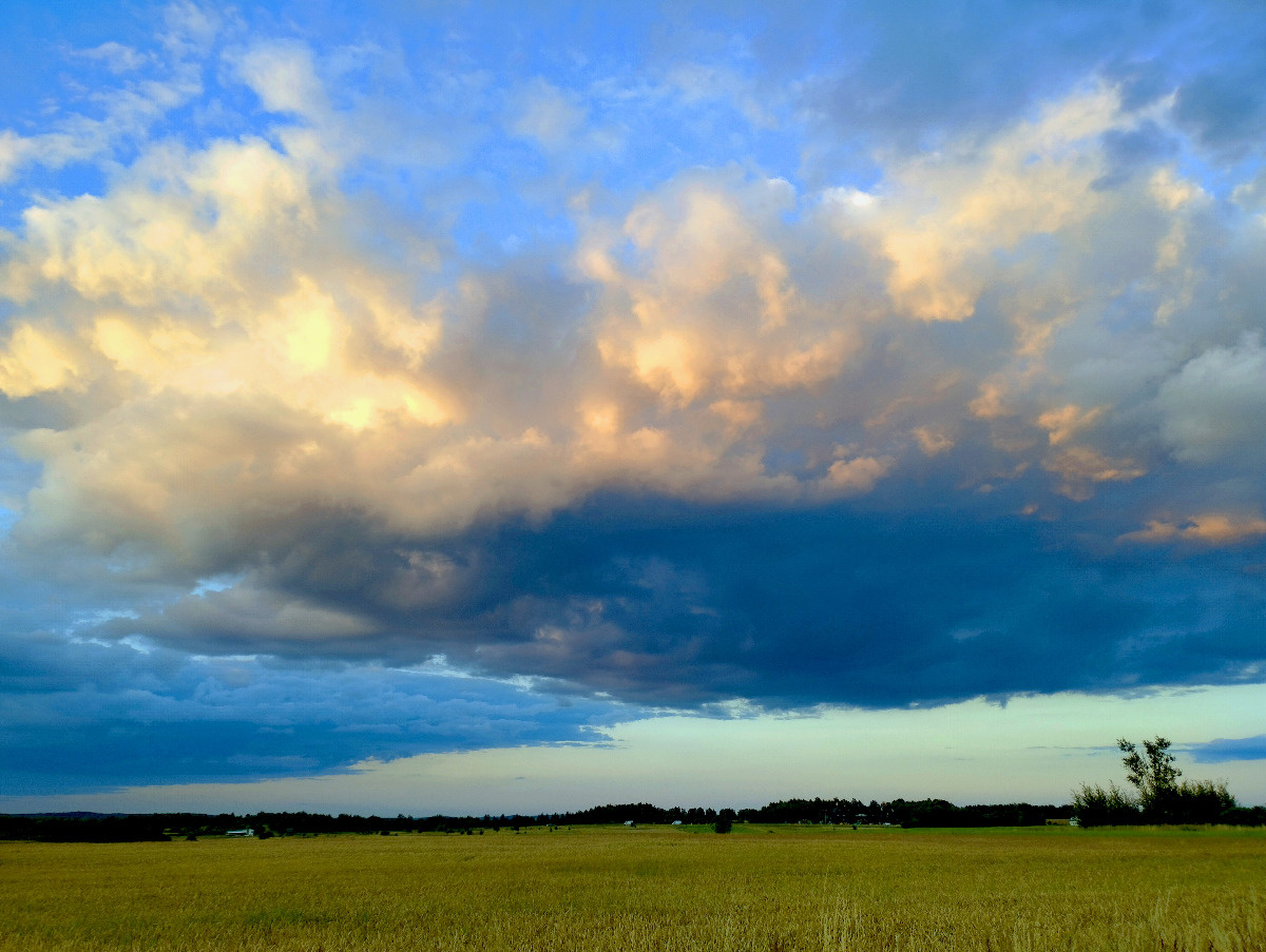 745c9fec-cc8a-4266-ae03-c9057f7f4971