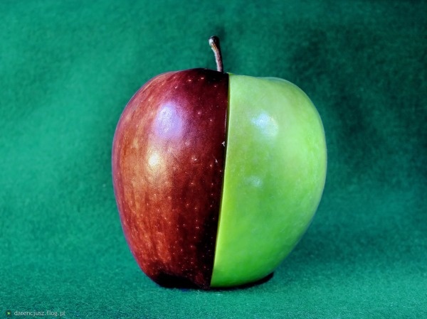 a6d04b20-1a9c-4ce6-b9ed-9a950f2157c7