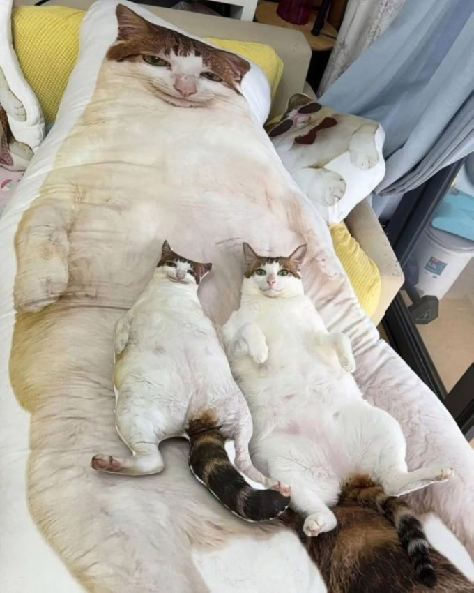 be9ebff4-e48e-4f66-876f-ec0b7db6febd