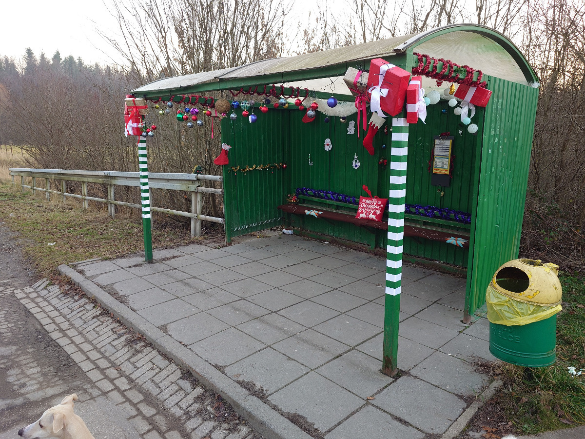 5d407880-0b89-4978-850c-c53d36b2ab55