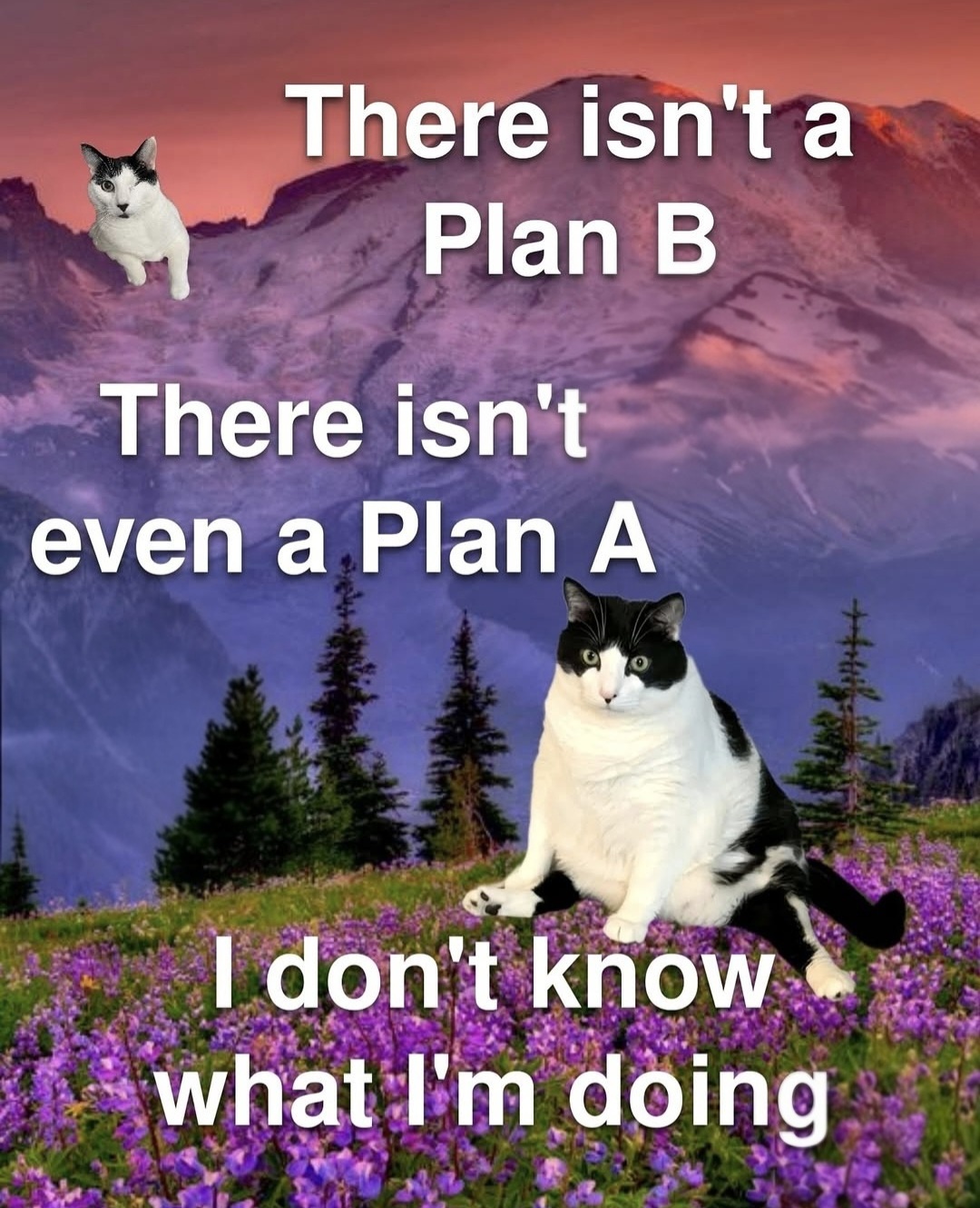 c0a4b3b2-5901-49bf-a804-a800aa2522fa