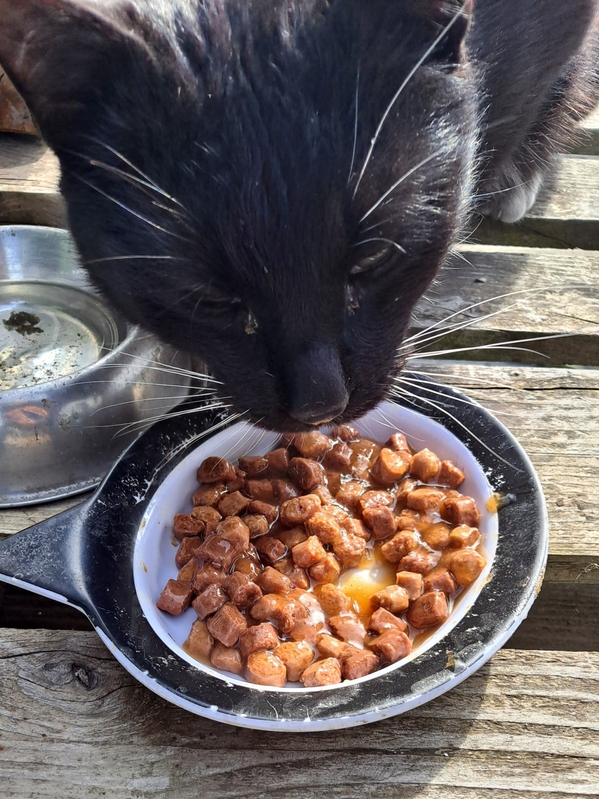 4e1f2975-bc85-46be-b5db-d85739f403ef