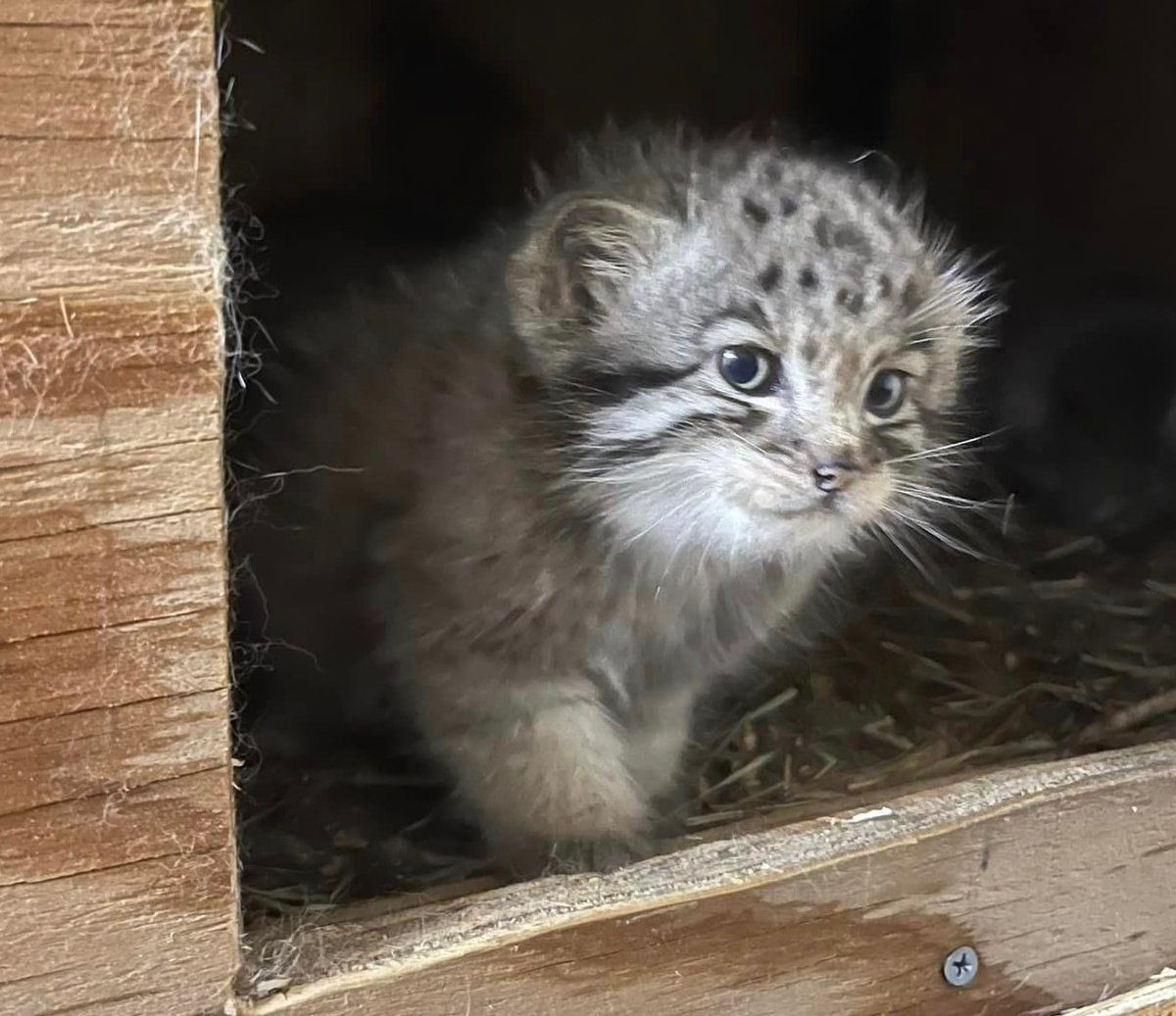 068e785e-9ed6-40b5-9217-b1cd7bfa850d