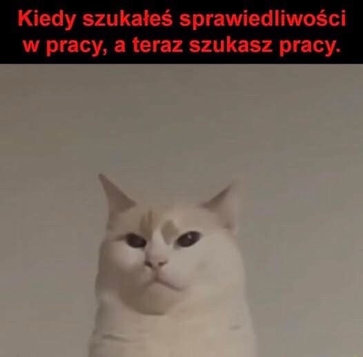 8f28ad8d-d1ba-4cc7-bf53-b6f7007edab5