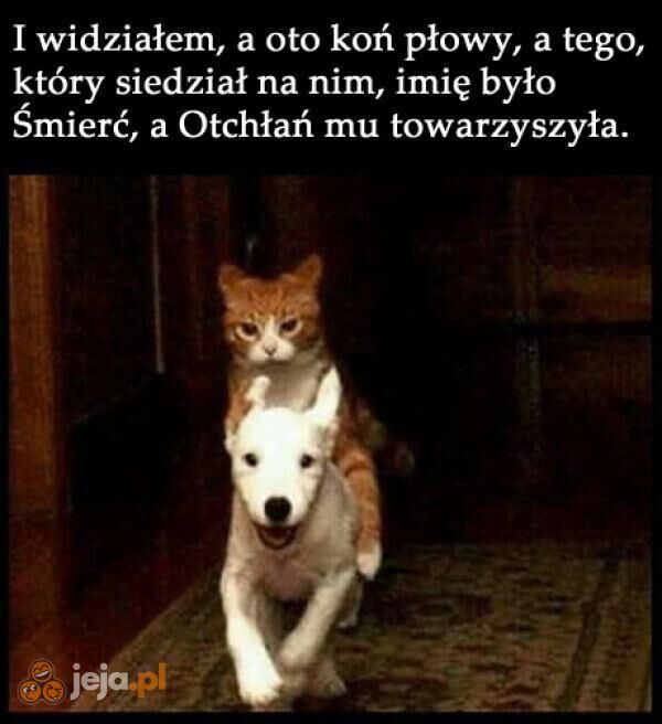 64a6c4b0-148d-4f44-8432-7b3c3186036b