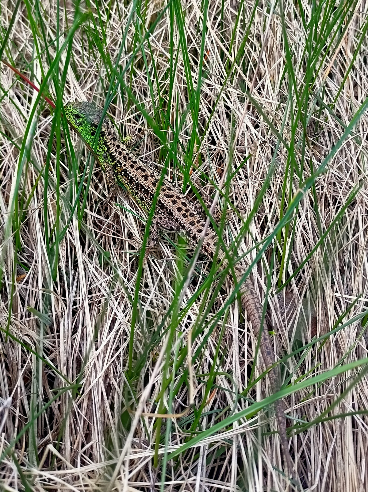 5b8b02e3-659c-4f74-bb34-94e5ba4c6c52