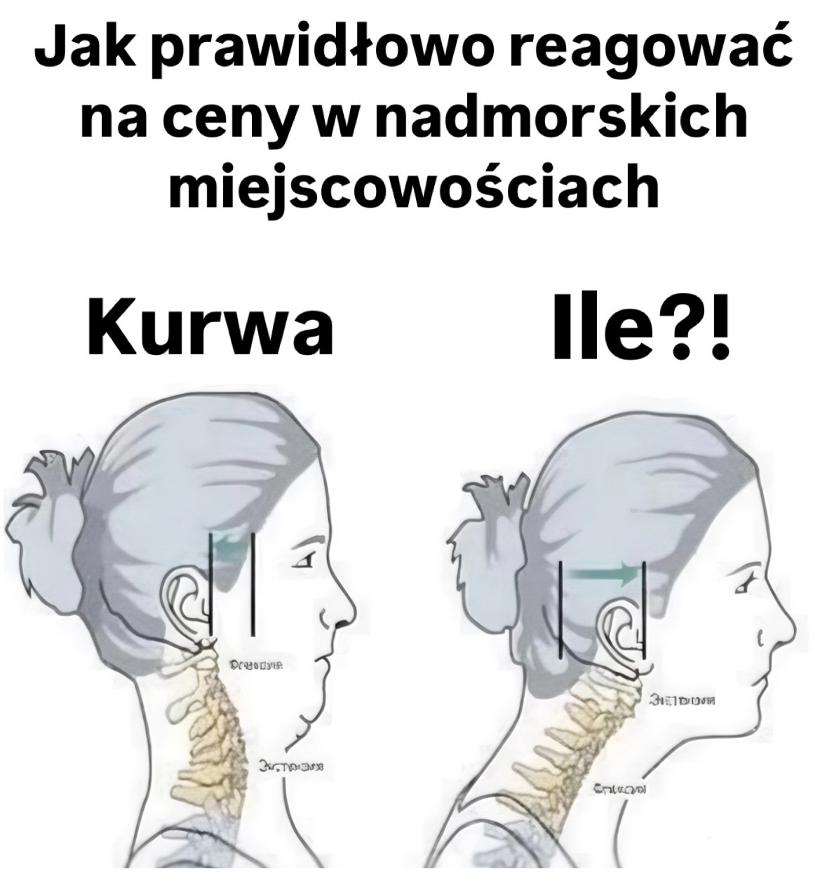 3fe23786-ab33-4fa1-b6c9-79196c21e6ef