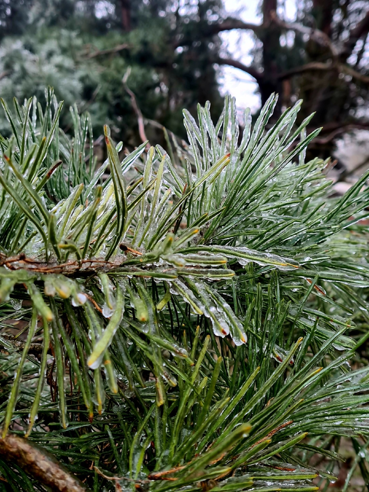 7a84b8f5-0267-40d1-bf86-88daede7a306