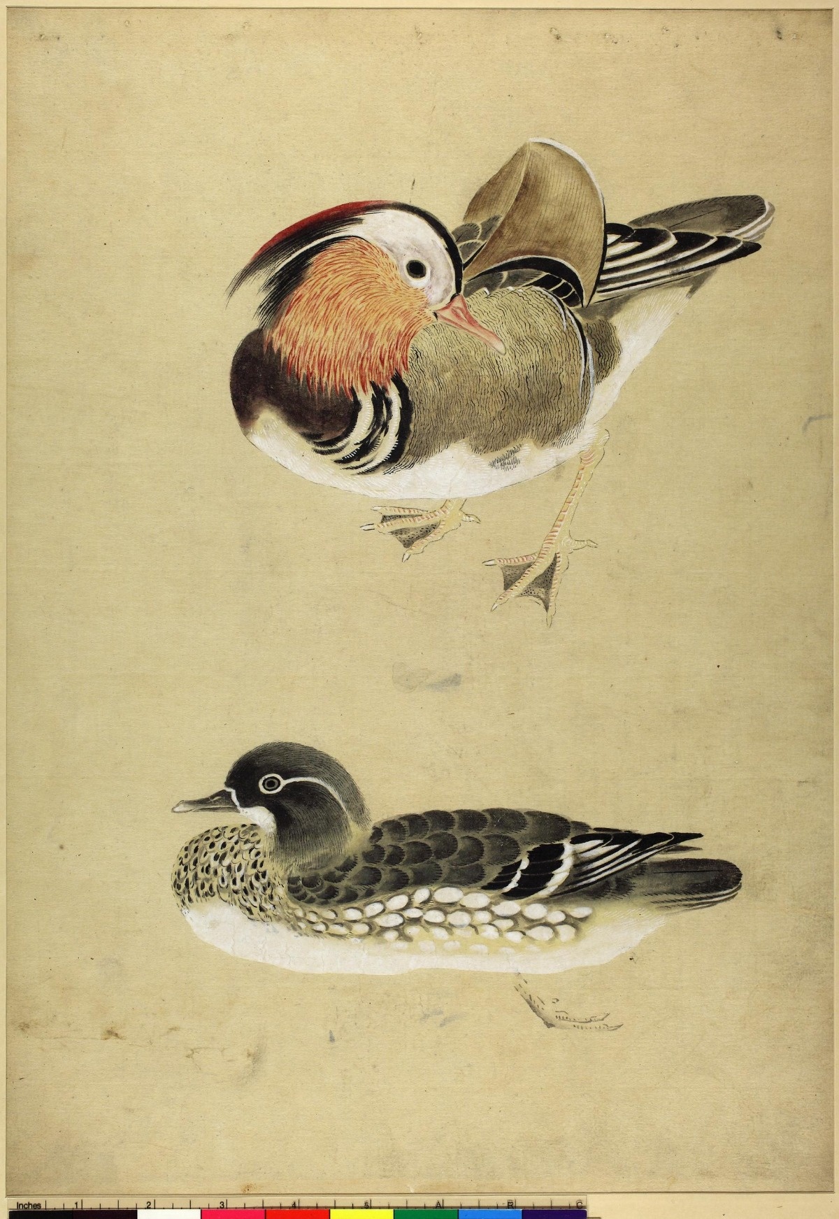 a508be51-623d-46f7-b592-22963162f56f