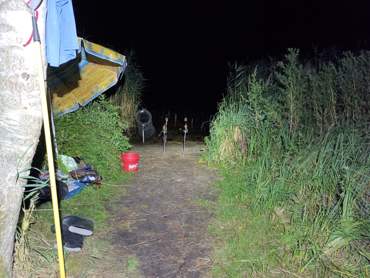 48d3da46-a9b7-42a9-b718-f955a21a52e3