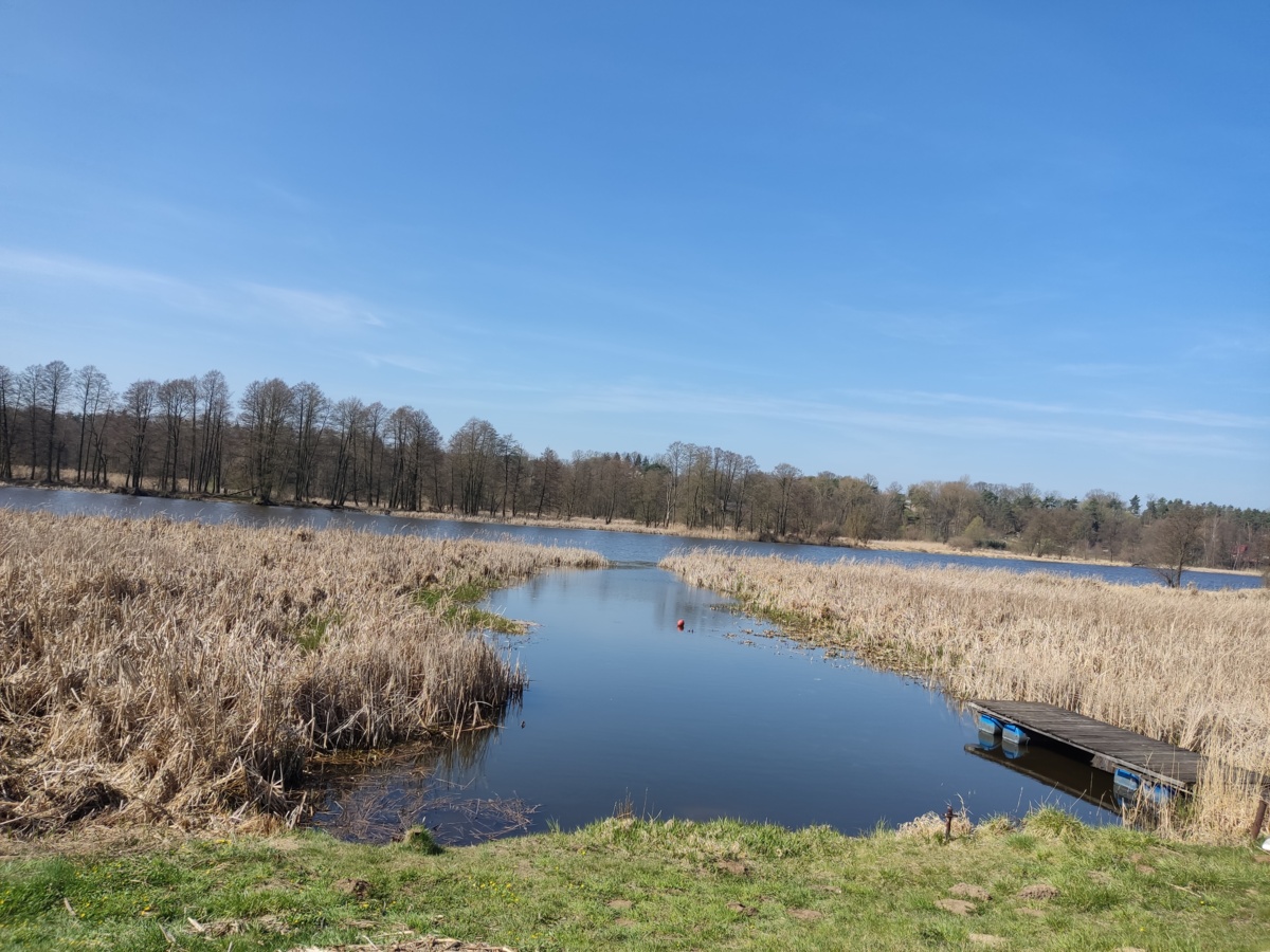 ee506846-79af-47fe-aa2f-83f32d3f7a87