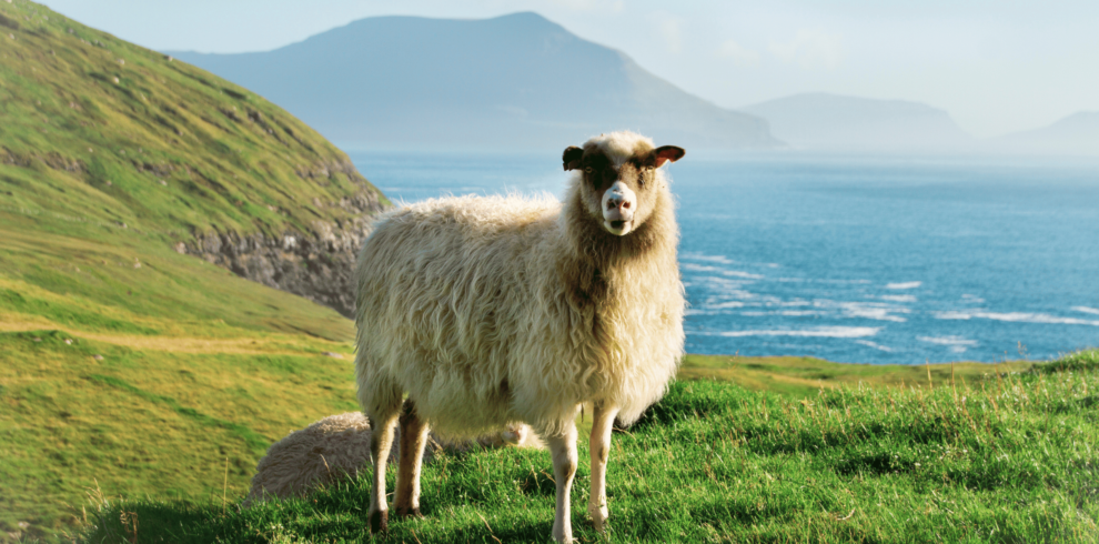 Grenlandia ogranicza możliwość zakupu nieruchomości przez cudzoziemców