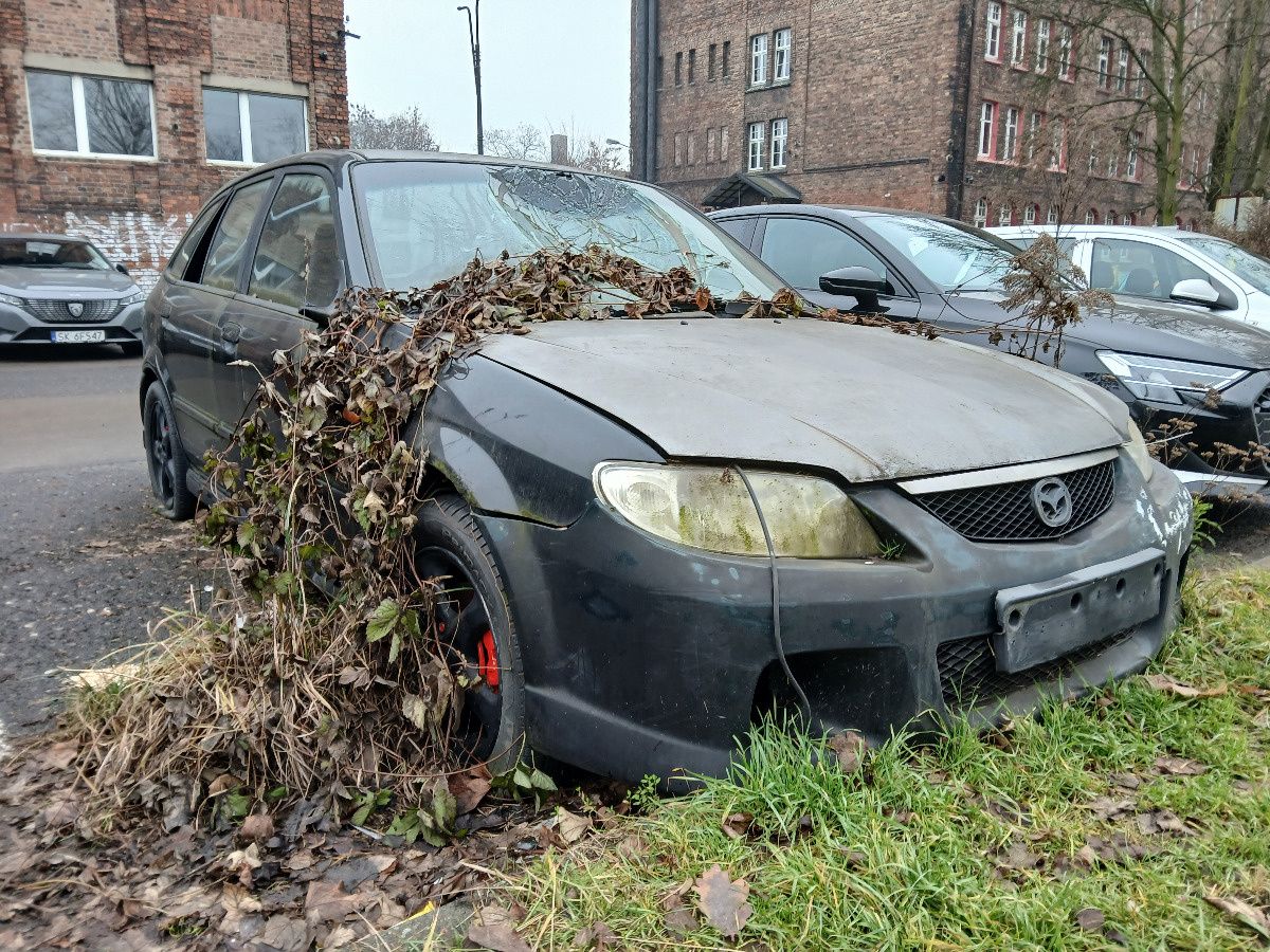 81489896-2e14-491e-9832-03c006302605