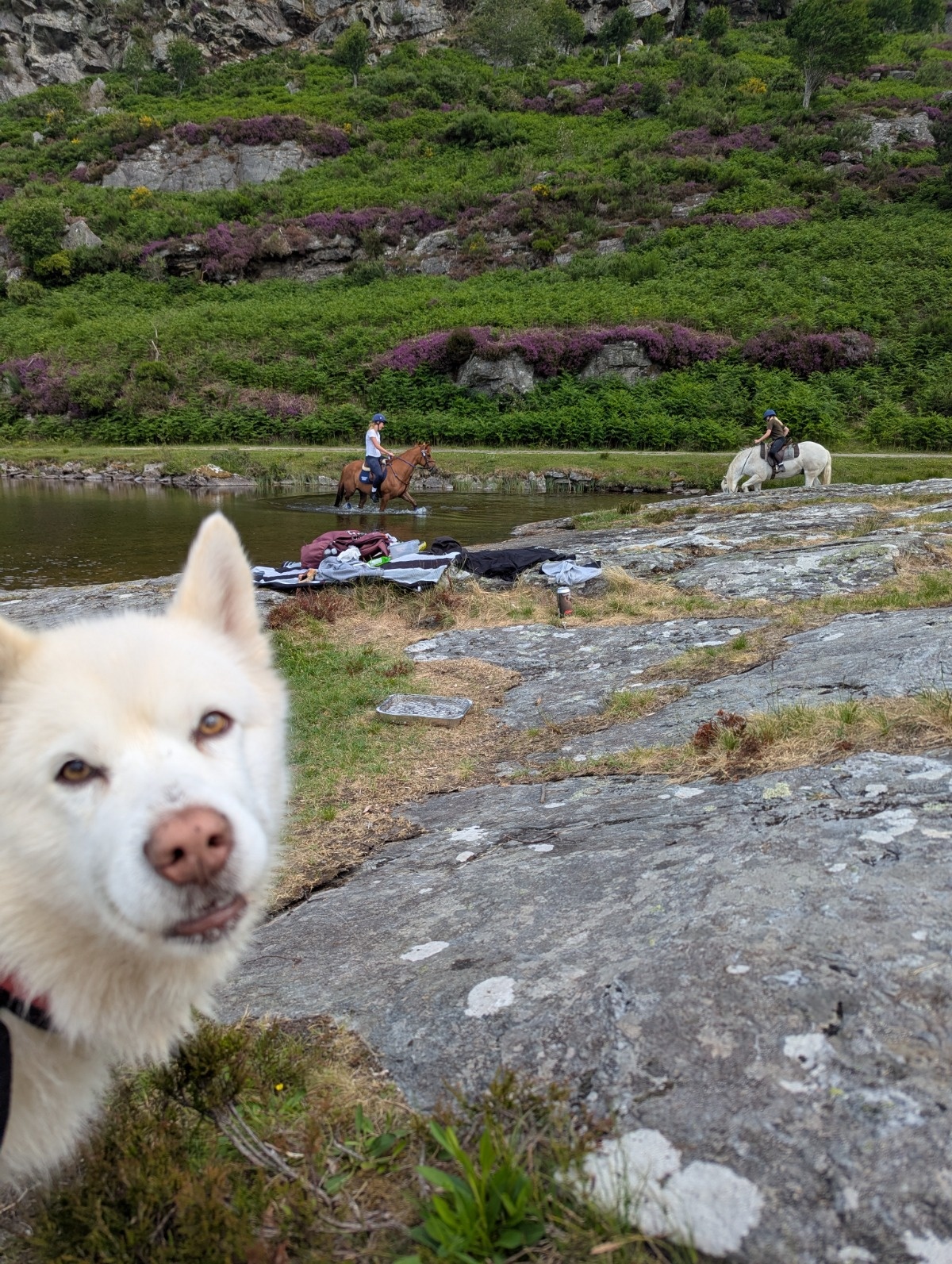 d2bc989f-4b34-42c5-8c22-f974512c9b38