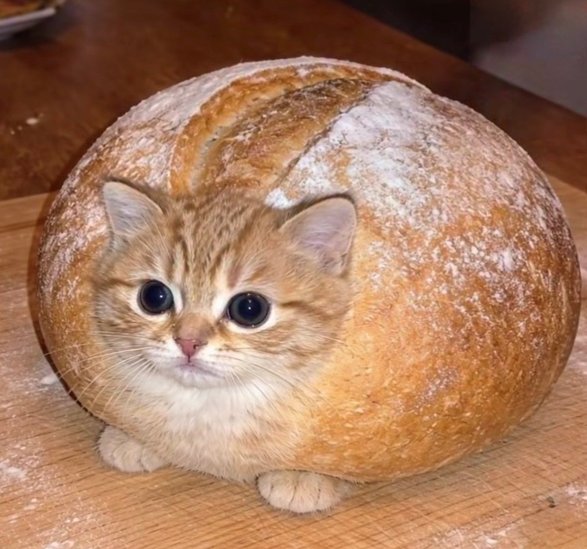 31fb4f5f-7fac-42a4-9be0-e9ca1e3928cf