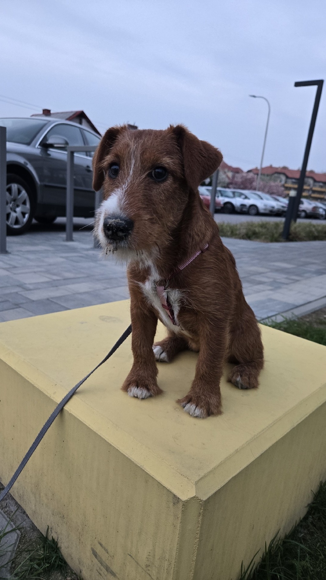 2048176e-4976-4b98-a5f0-170c96d27f42