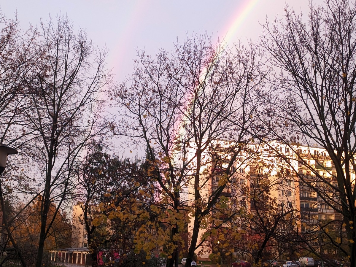 b9b98ca5-9b61-4b05-97b4-1d067d2f7cf0