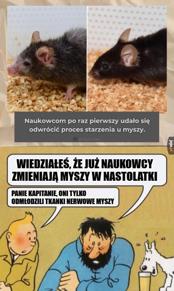 9be2ad9b-52cd-4148-a7c6-306288ad6b11