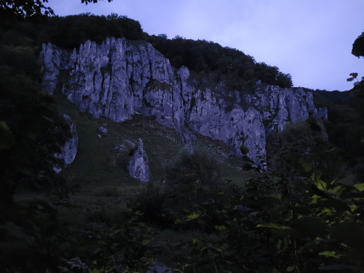 302b349d-bff7-496d-aa20-783dc260d93c