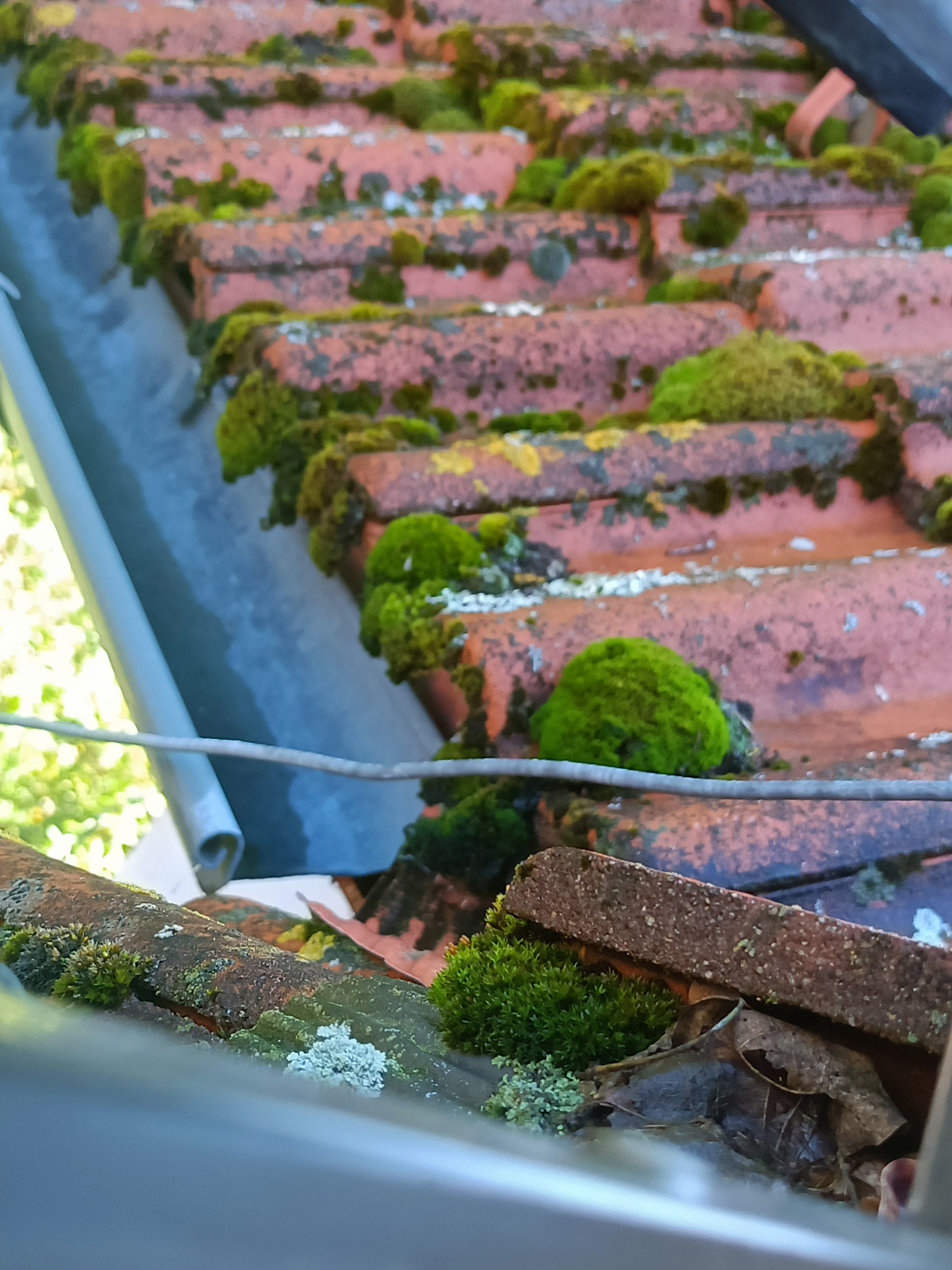 78f3b5a8-9ec8-4271-b2d1-f99e02430fa4