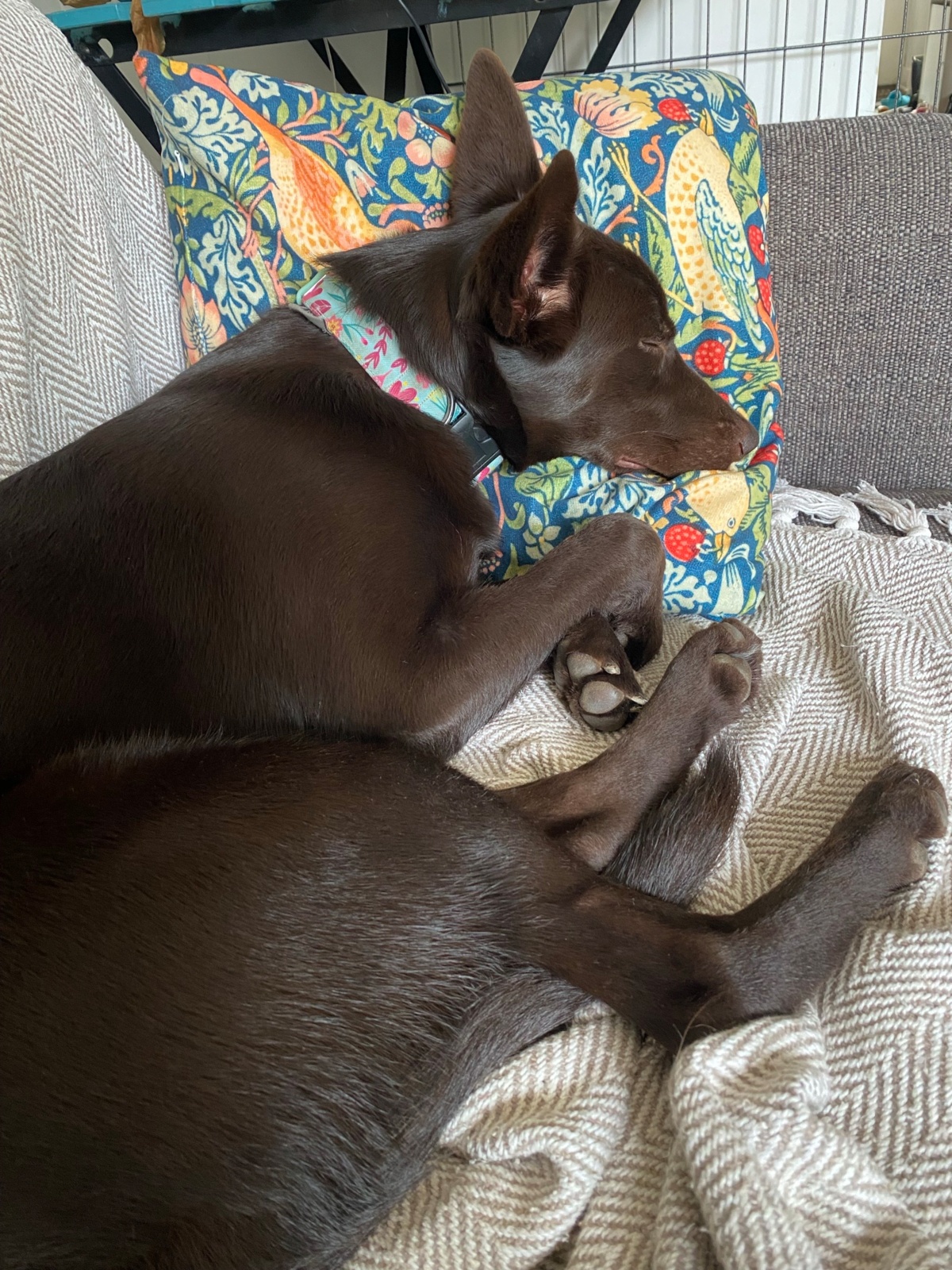 1d2d94f0-be67-4378-8a5f-f22cd2d16d9c