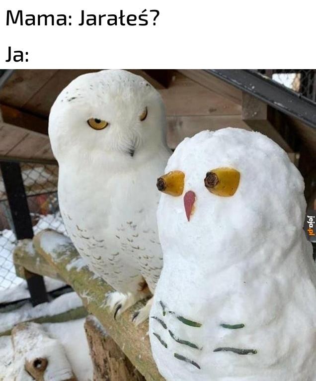 bf3eb421-865f-434b-97ee-cdce6659d721