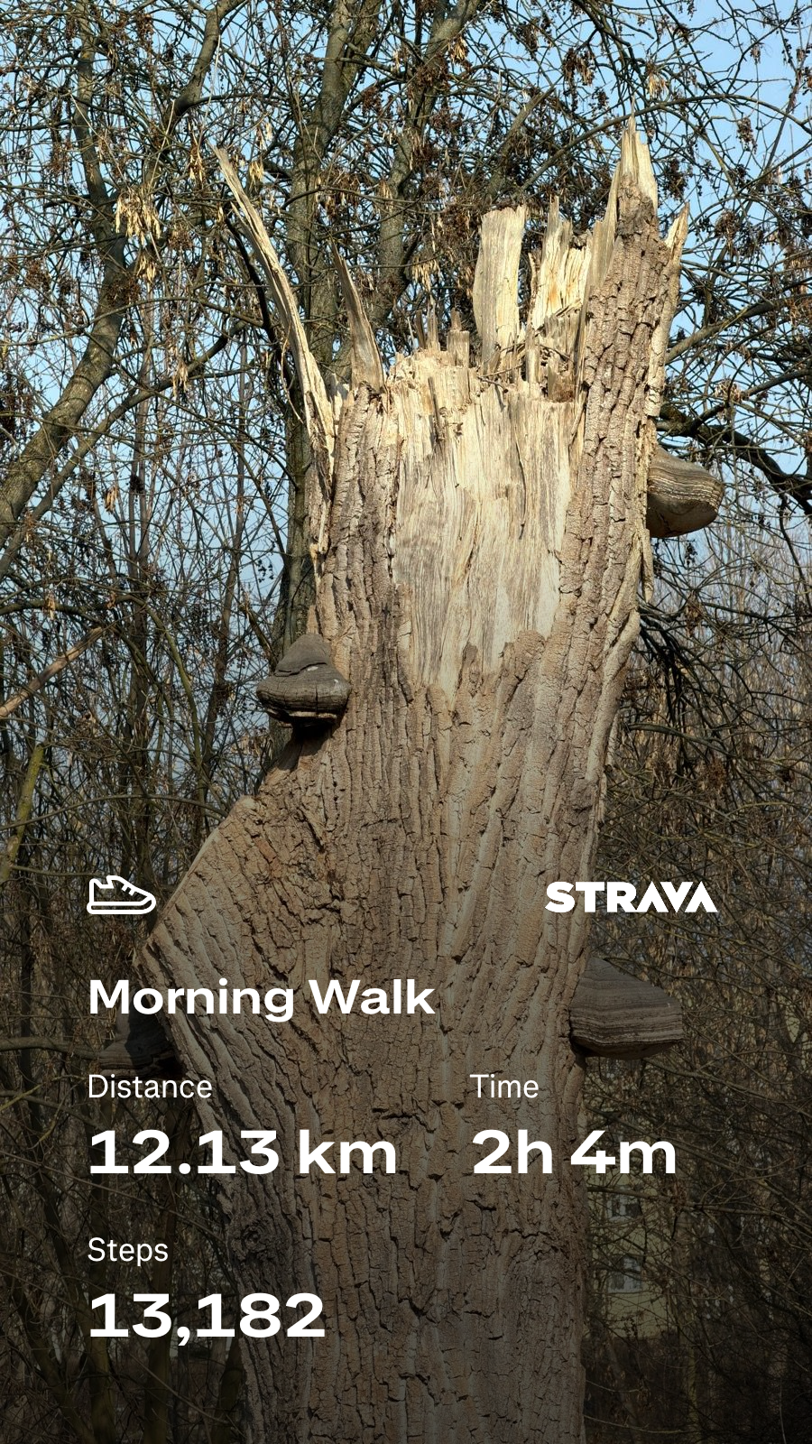 8a30209e-6774-4577-9355-89cd09d363ce