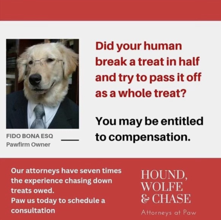 e6f89153-6c68-4378-ab75-4103a2c50983