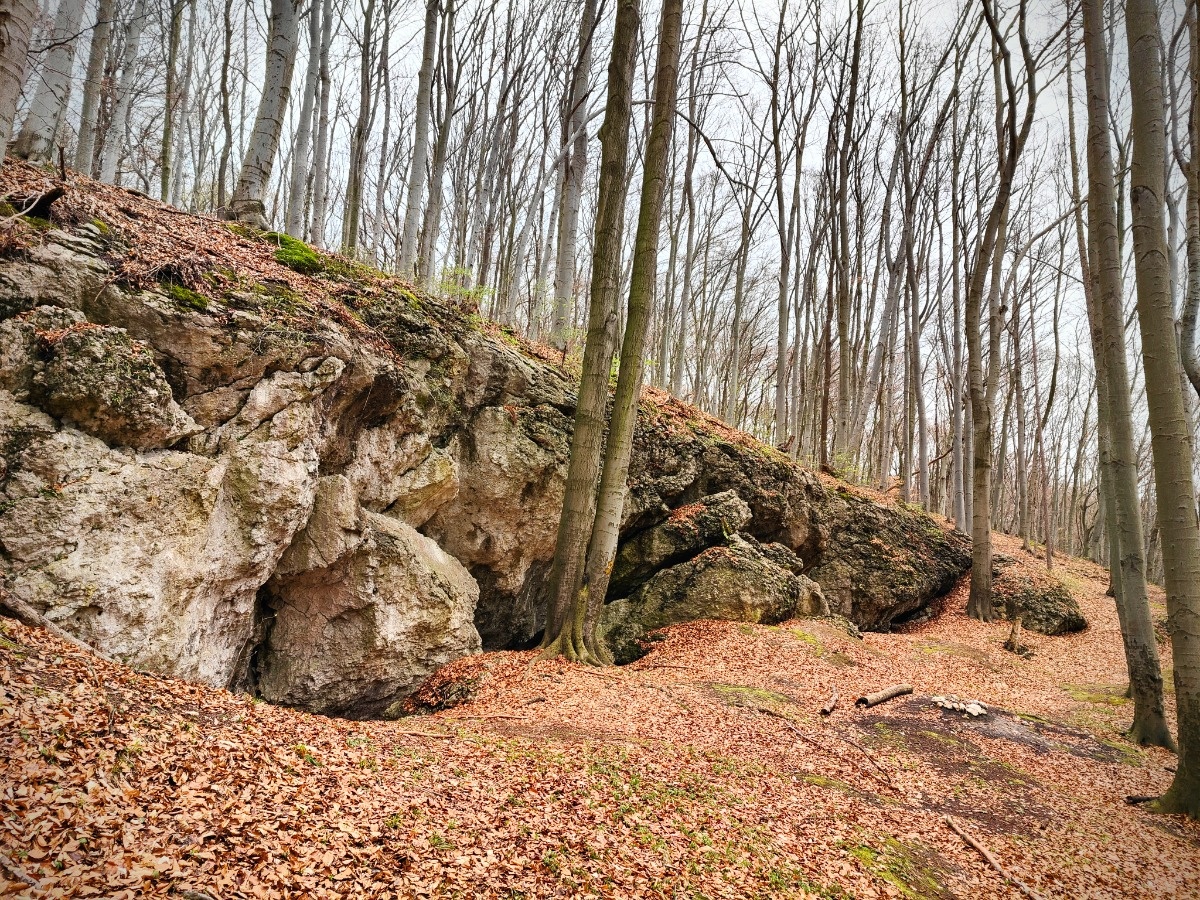 8c60eef8-7e53-412a-8c3a-629d7dc9e169