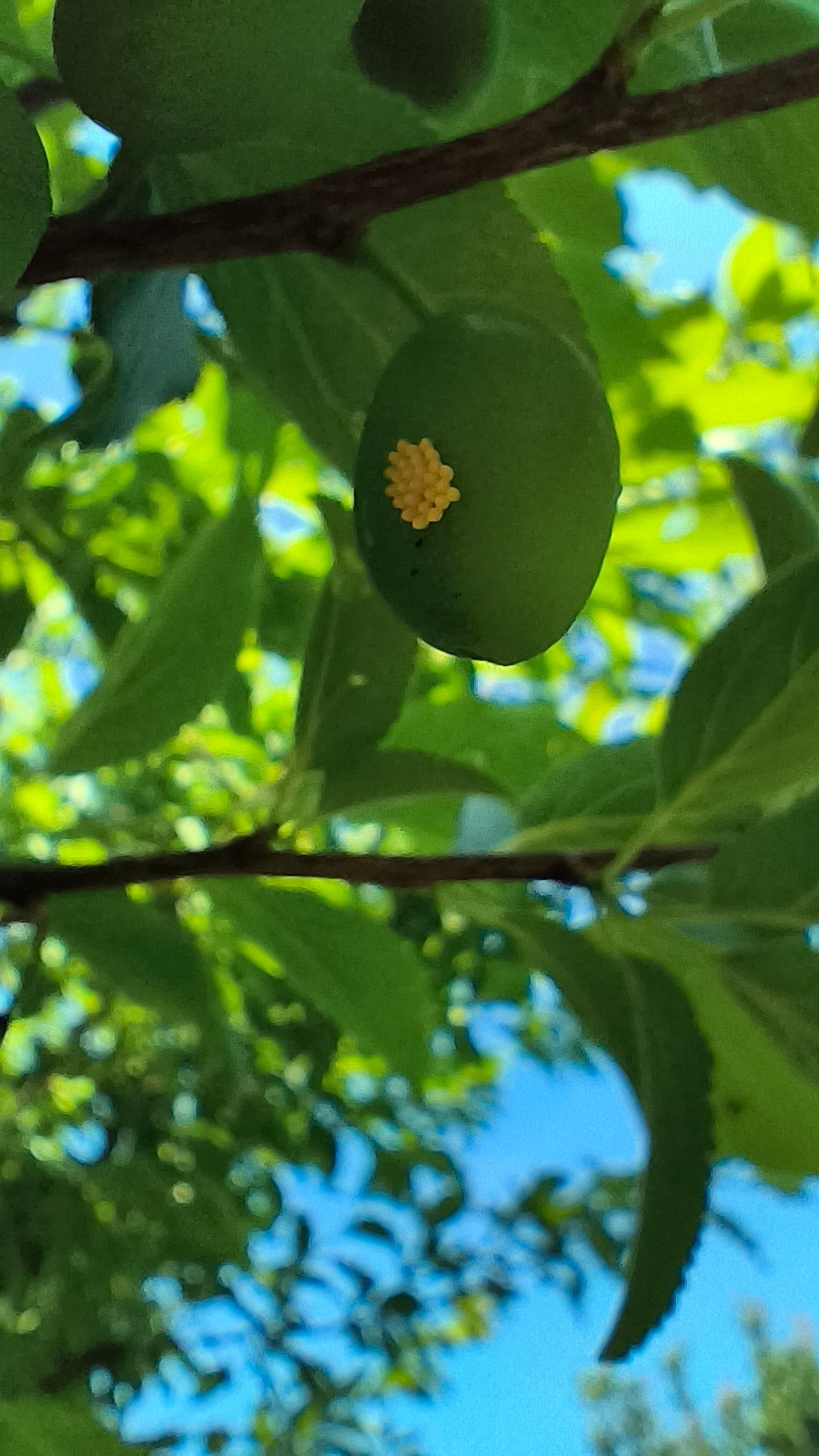 2b2553fd-dc57-47dc-a518-18386746700a