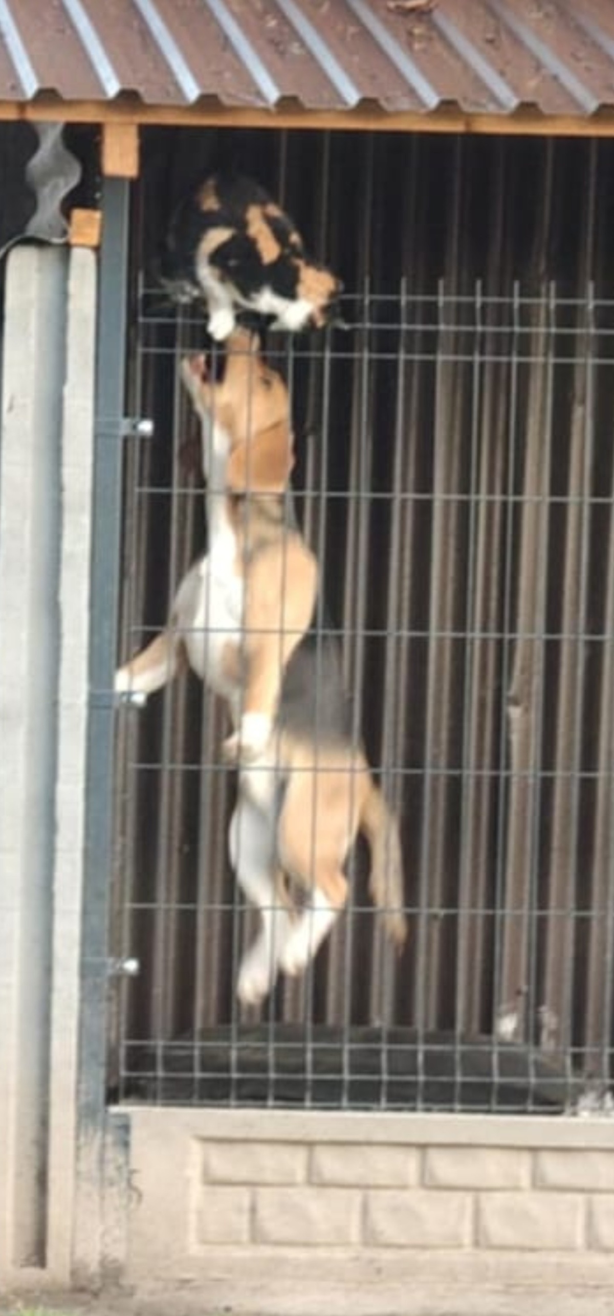 86c98e16-0e6e-478f-80d1-3793616593d2