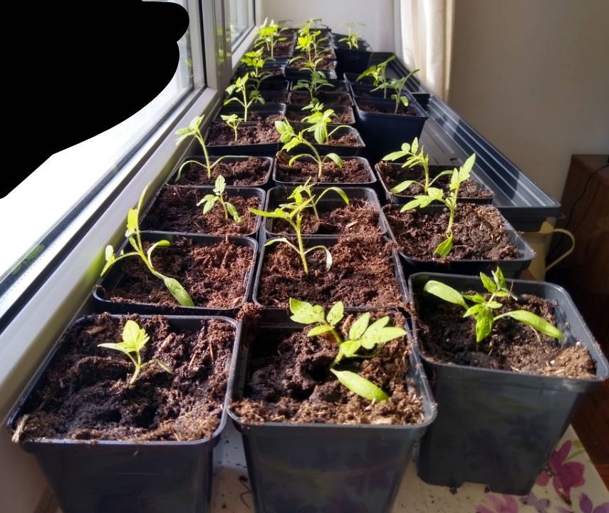 17508a63-6942-480a-8693-32c512e7f21f