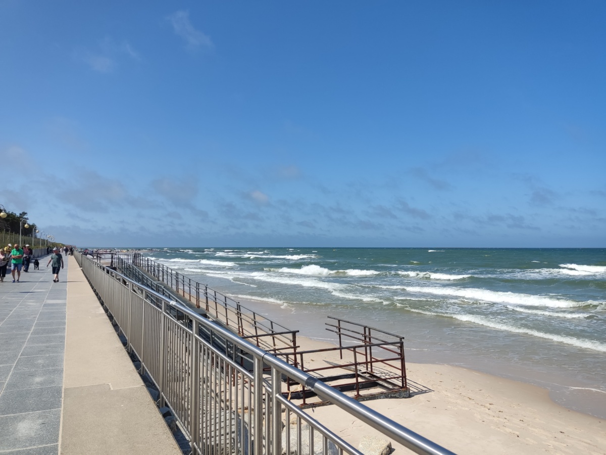 2876156a-962c-433d-9009-a68e30dc8782