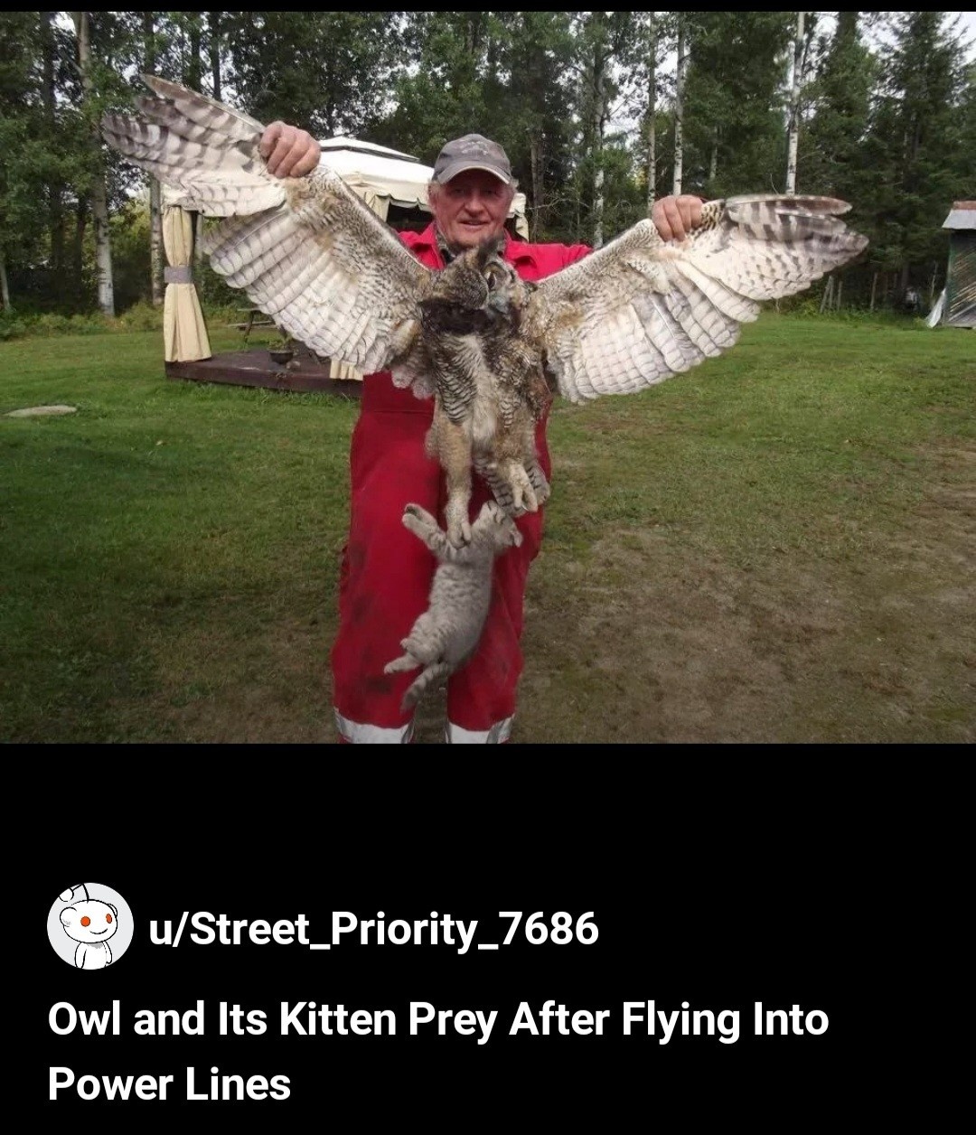 911734a6-094a-4622-9912-84e1a3804a31