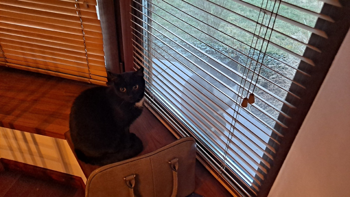 30f57a2c-a968-43ed-8c9e-190afde5d51a