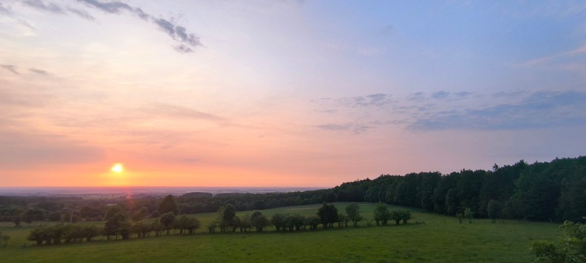 5b52ab4e-9e61-470b-afbb-bb3b588f26af