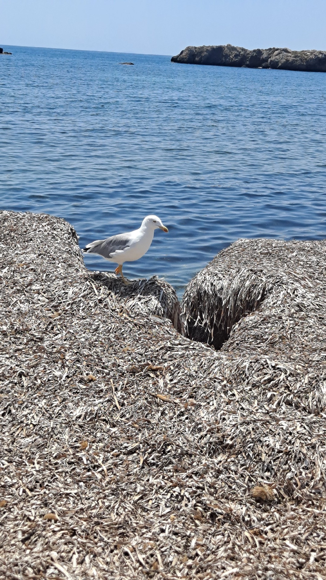 b587c42c-93af-4309-ba64-d07279ac7a63