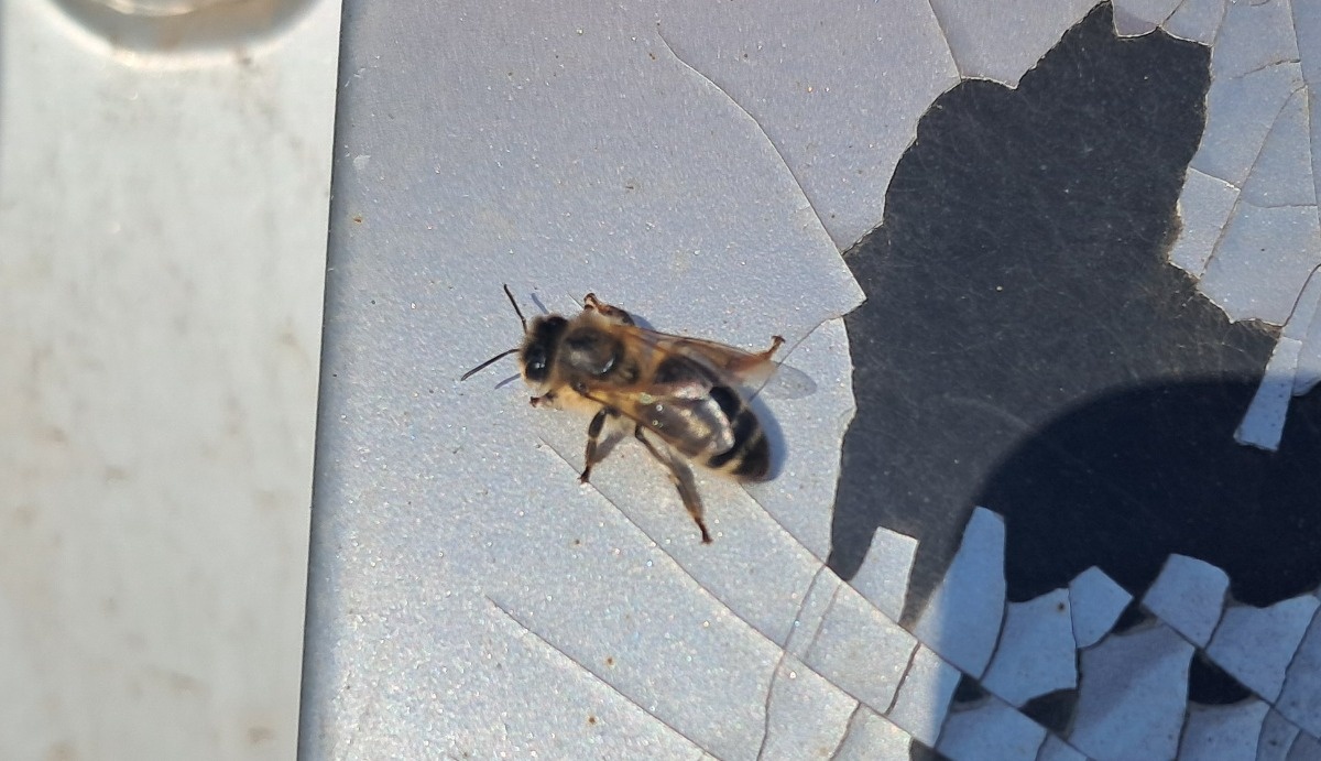 3628f65d-37ce-48da-8bdd-d5a55a8edcc4