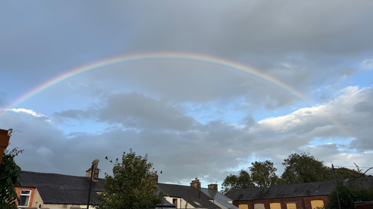 2950788d-ecfd-493f-8872-919ac7728203