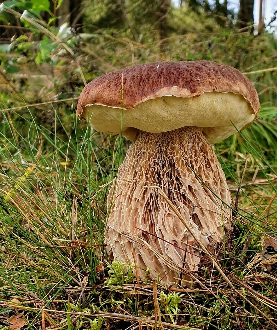 8152ec53-28a1-497c-acbf-2c05e9699995