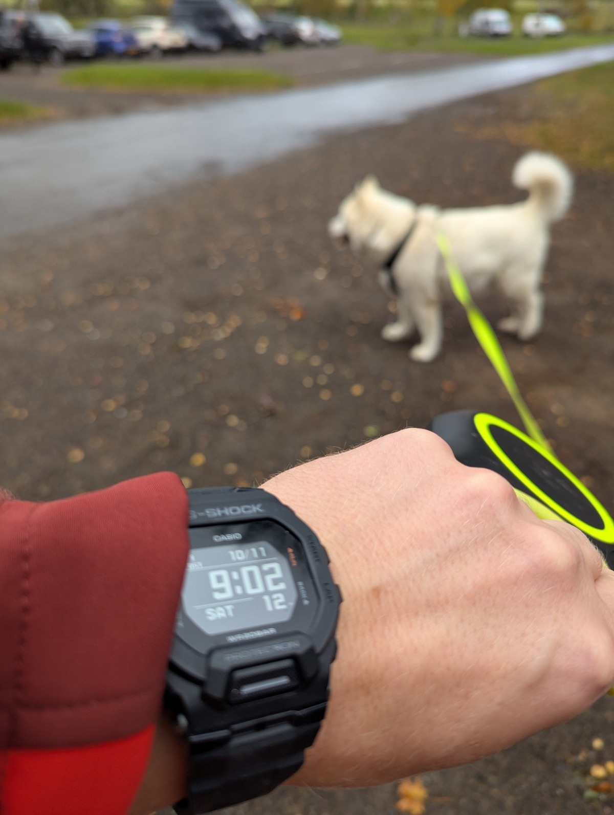 1258cfdf-85f6-4ea6-b1c4-428276b0b95c