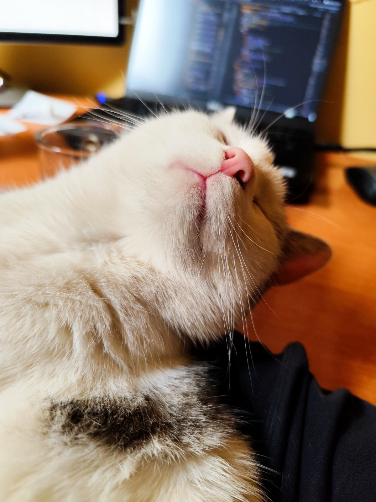 37fb0b88-be24-43e6-9a6a-862dc8ccee69