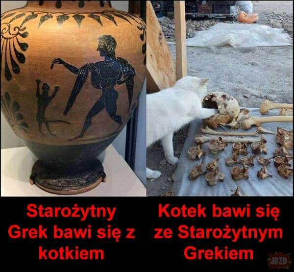 328c424f-b52d-4a11-ac17-0b3cc47e6ab7