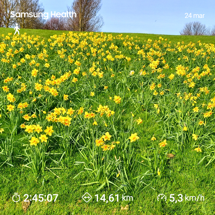 33e096a4-ddb8-4678-804e-c6bb6815ec61