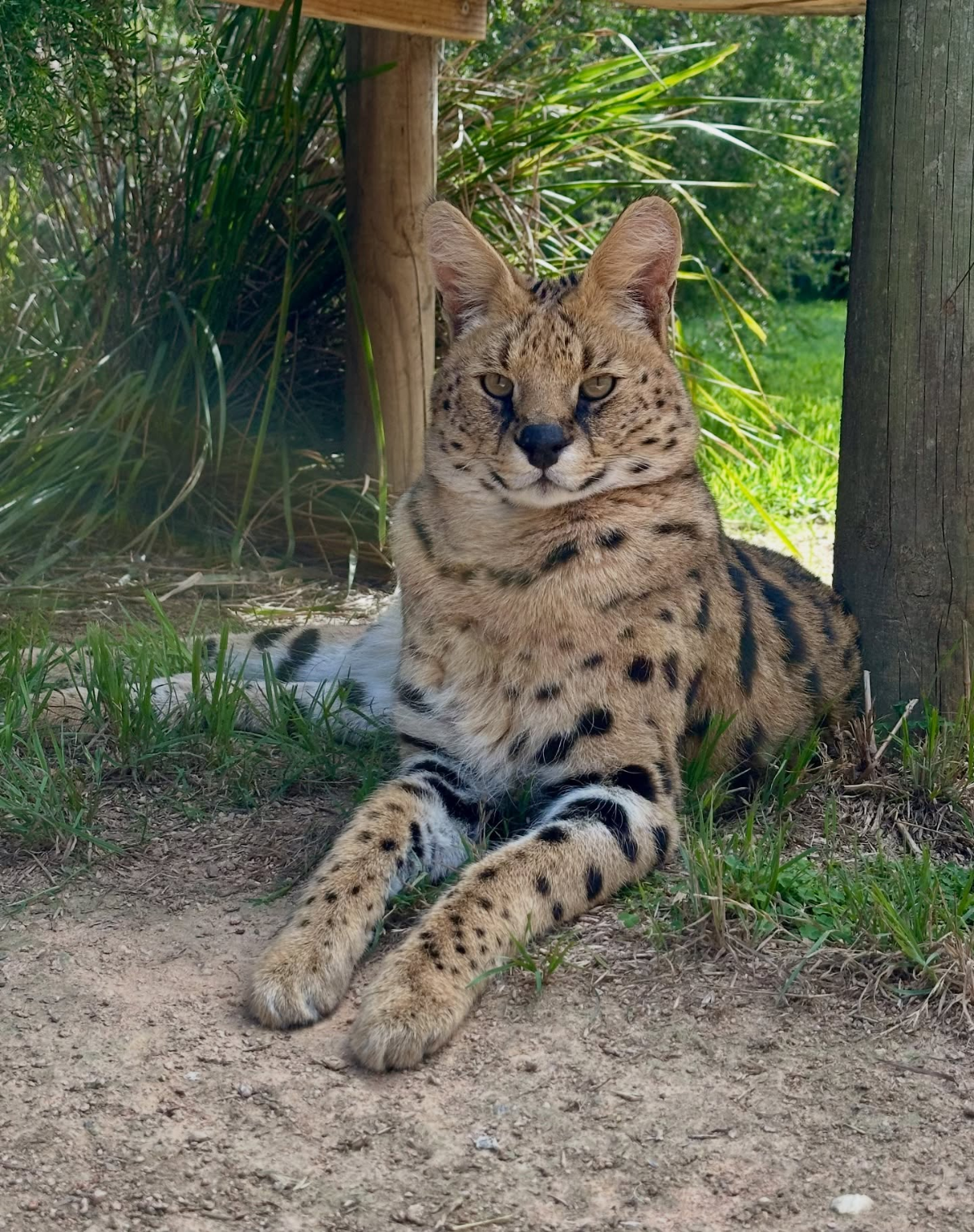 201d227b-9948-4a29-b407-1c5c7dcc5caa