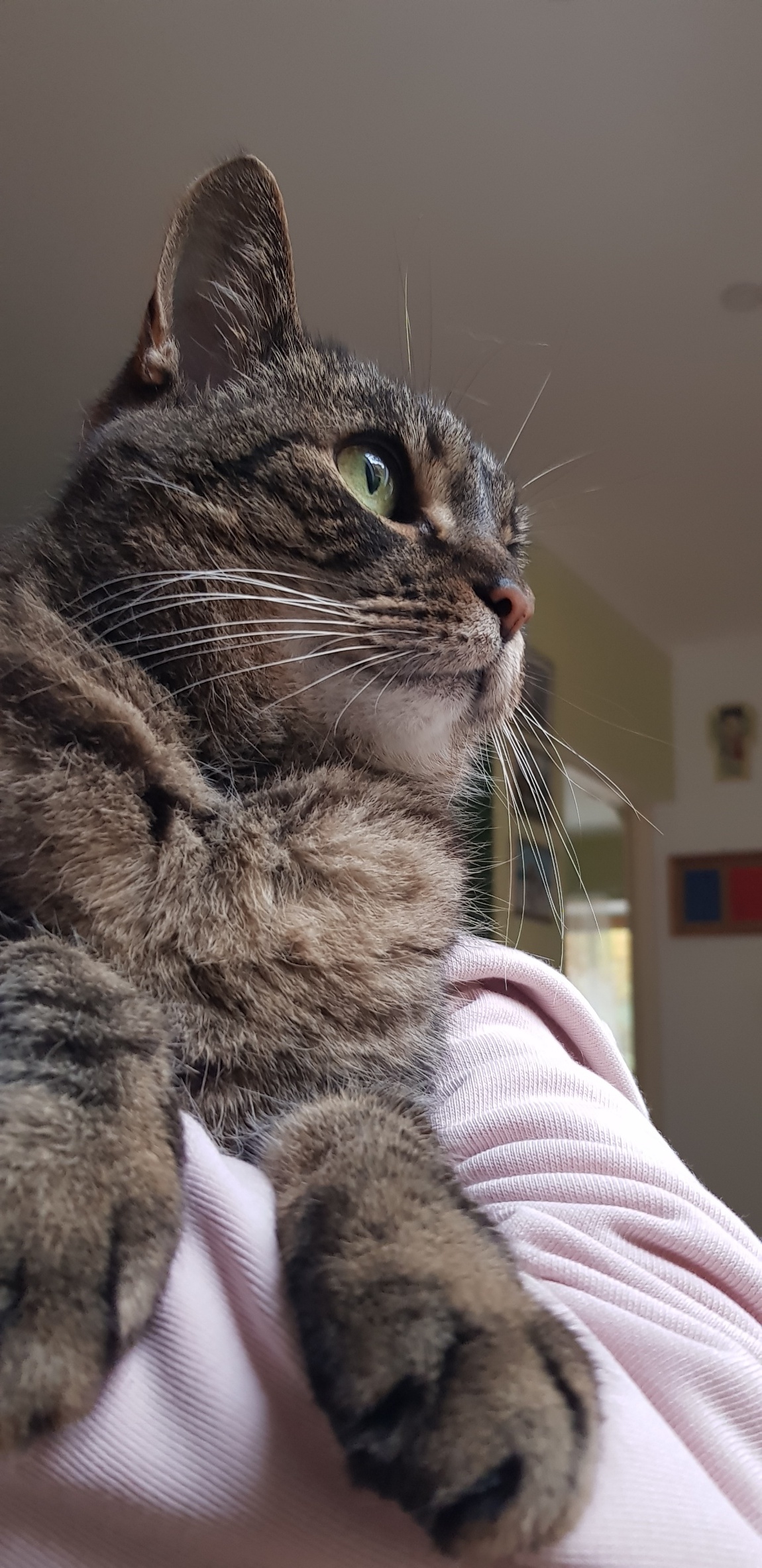 219a0a8b-2edc-4e56-a549-4971d03af621