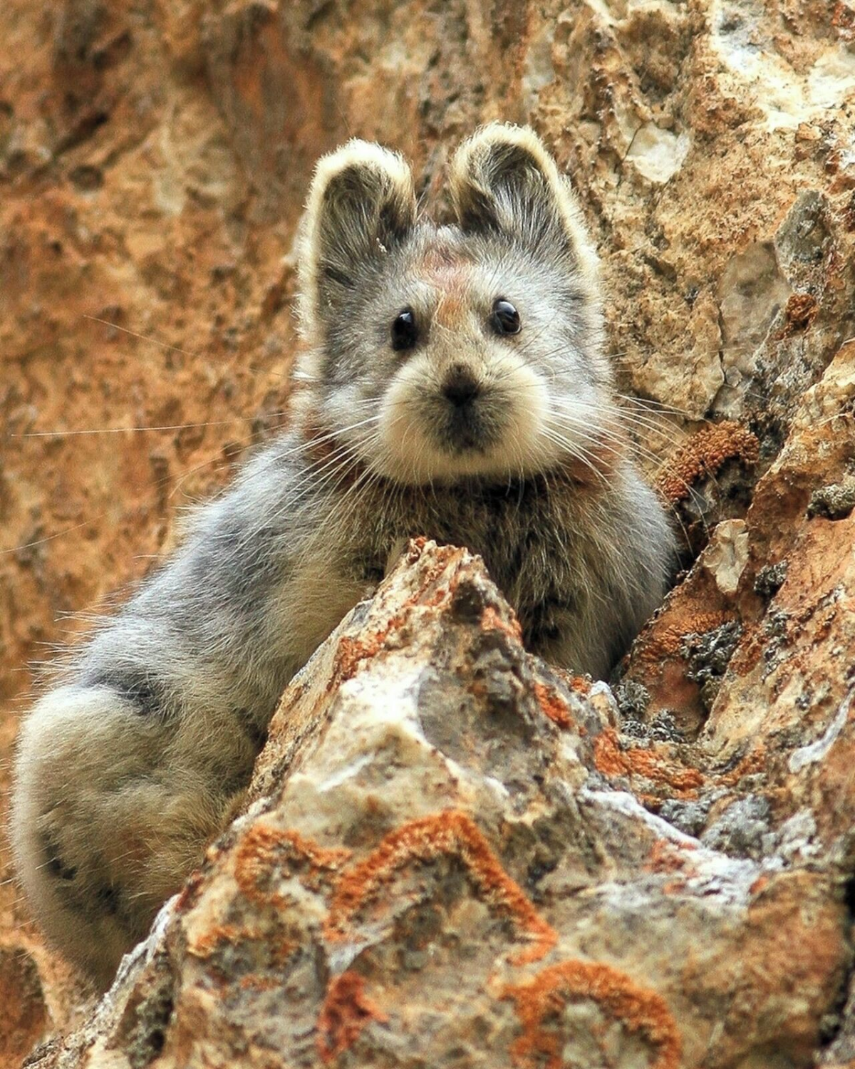 efc3214a-2ada-44a2-9a38-4d841ac8ba9e