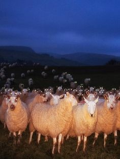 6da02b36-32e4-4b39-b721-1243a3858ff1